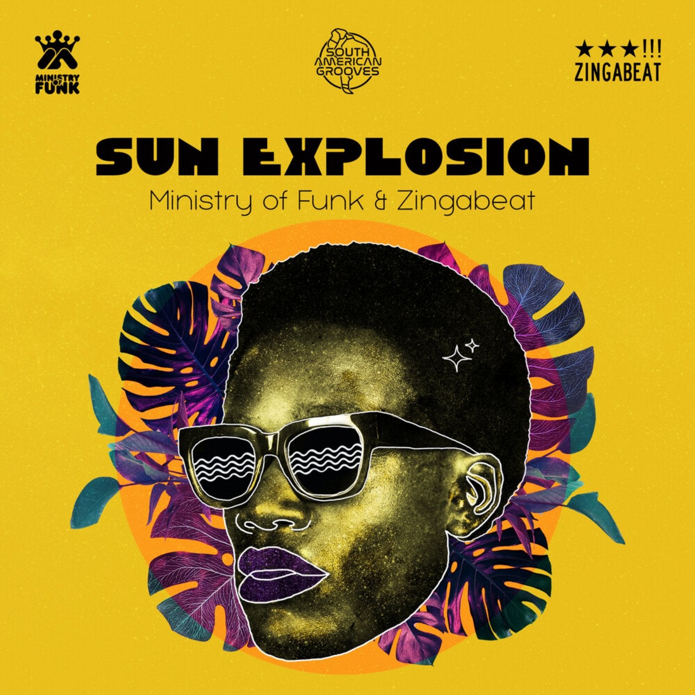 Sun Explosion