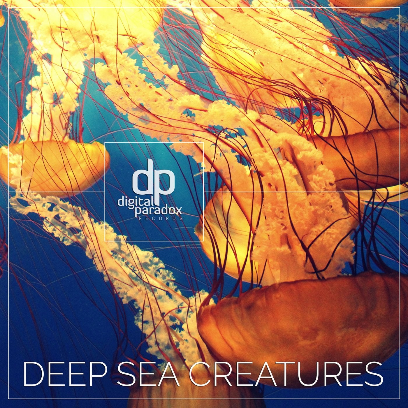 Deep Sea Creatures