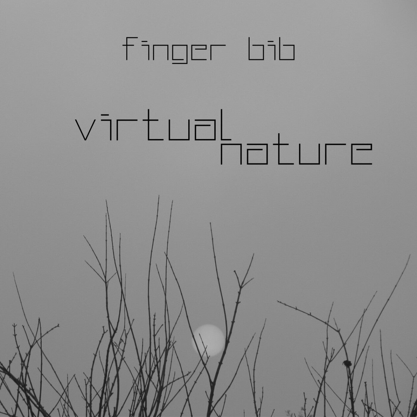 Virtual Nature