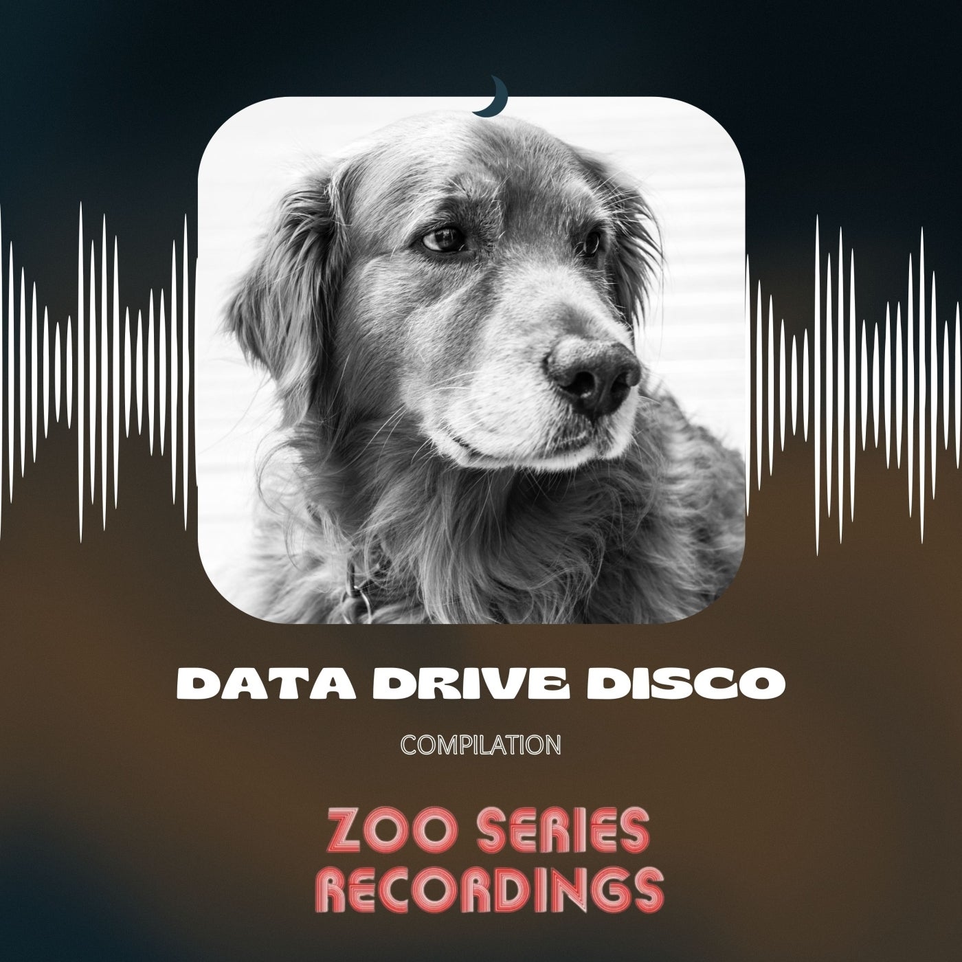 Data Drive Disco