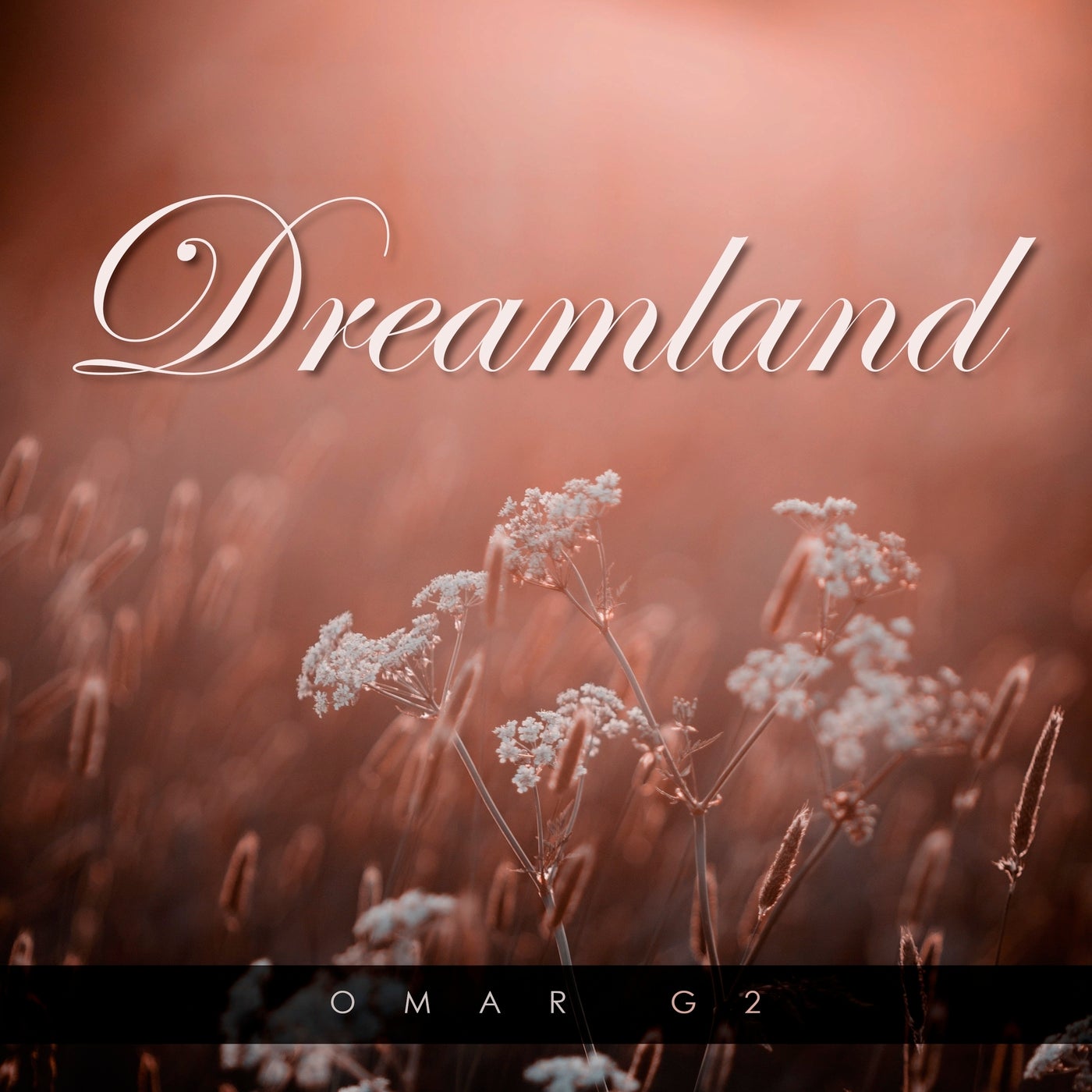 Dreamland