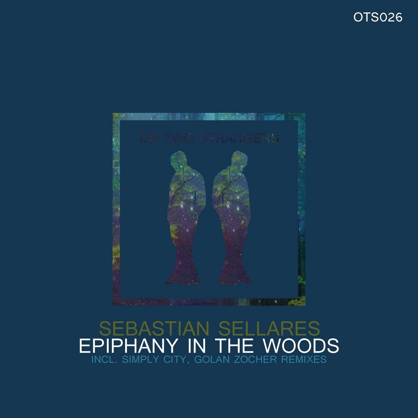 Epiphany in the Woods