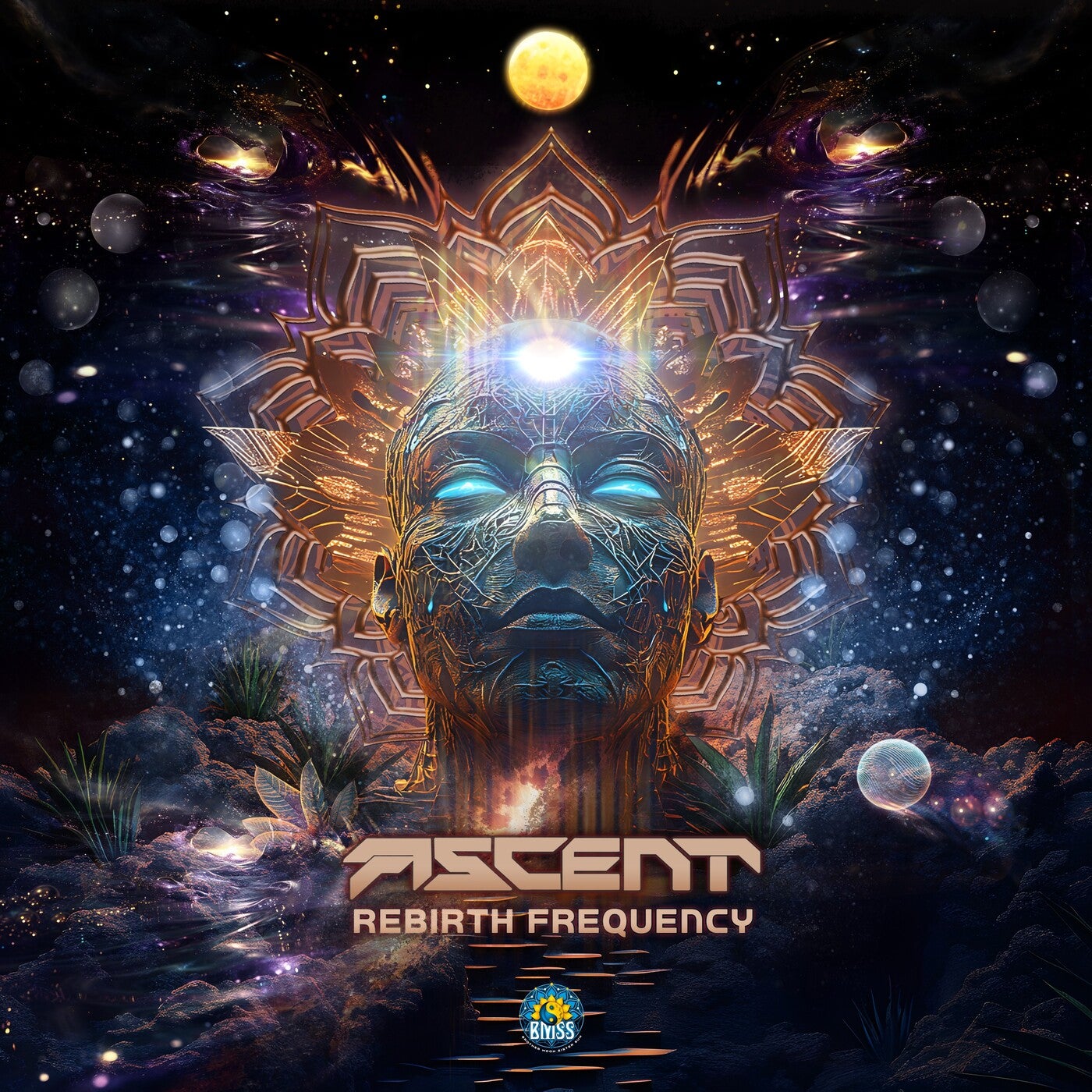 Rebirth Frequency