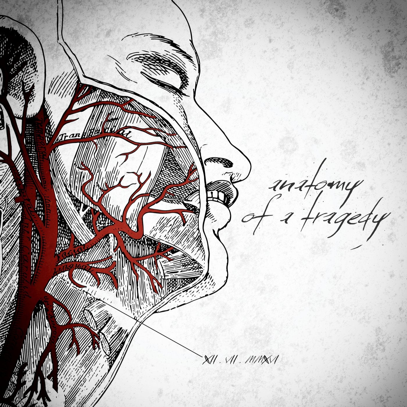 Anatomy of a Tragedy