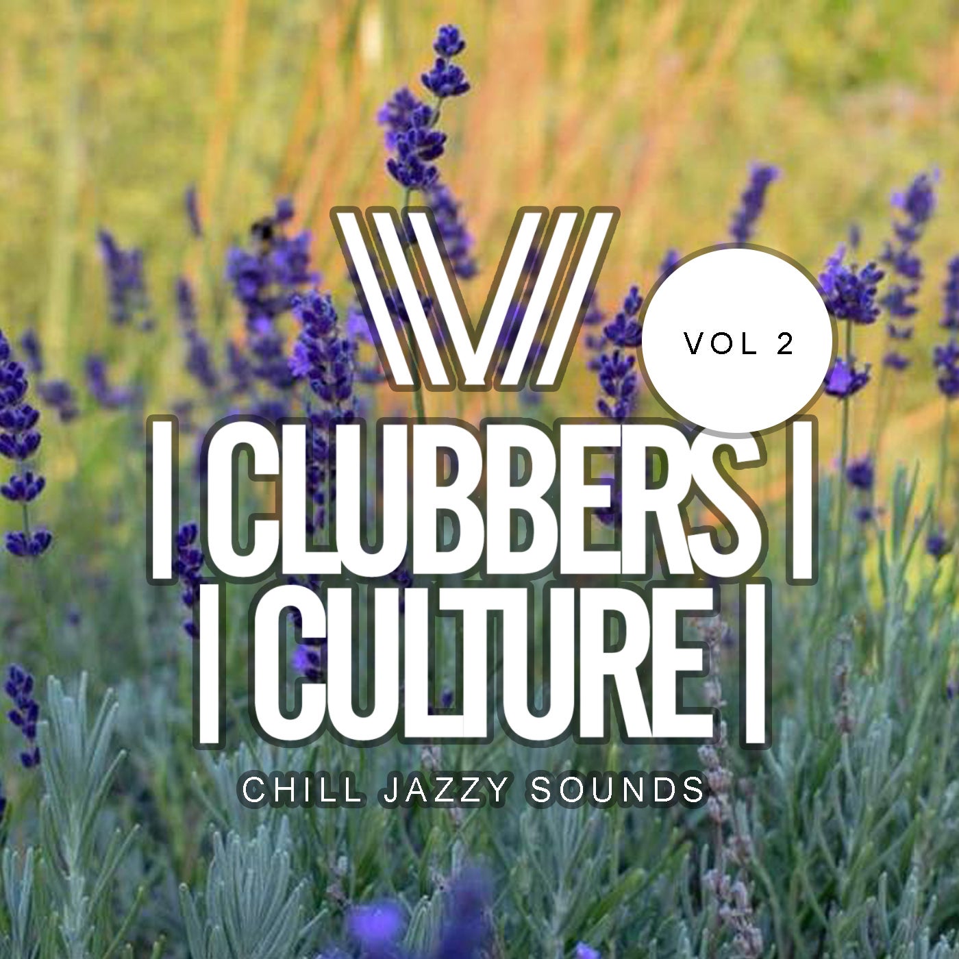 Clubbers Culture: Chill Jazzy Sounds, Vol.2