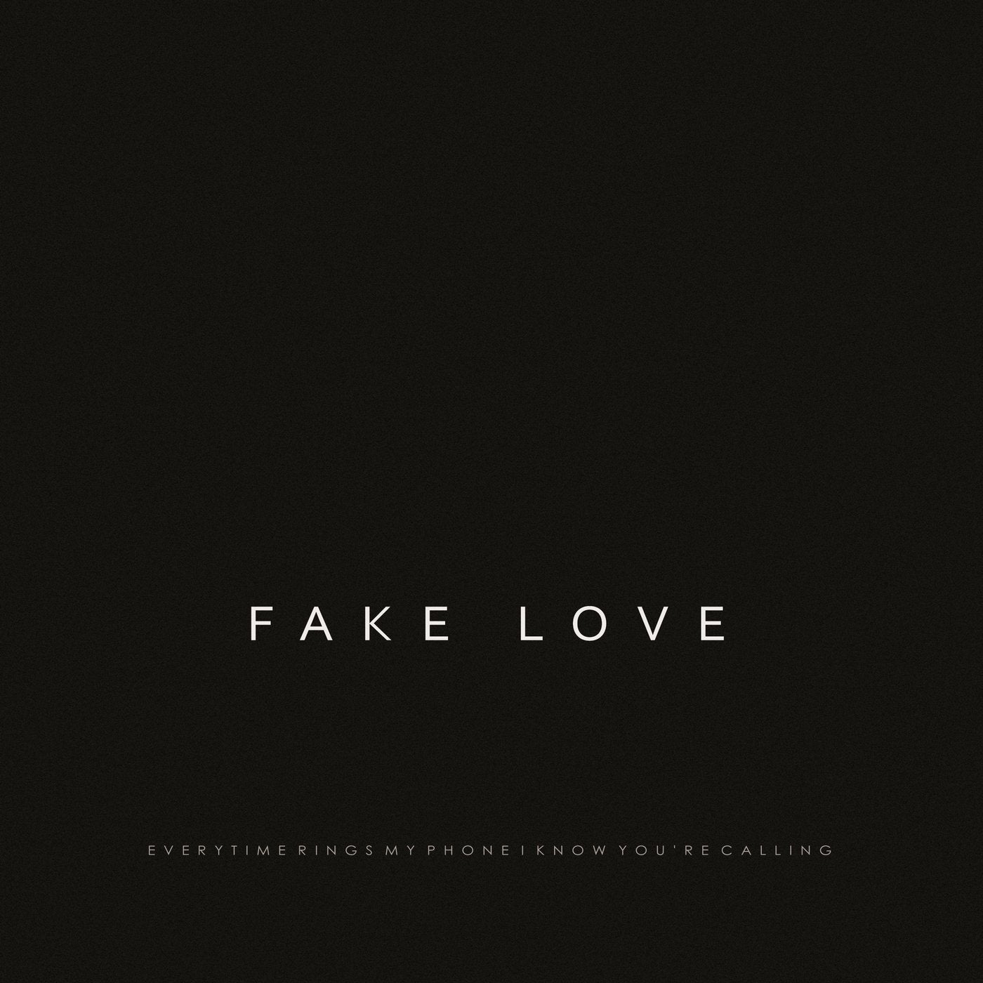 Fake Love