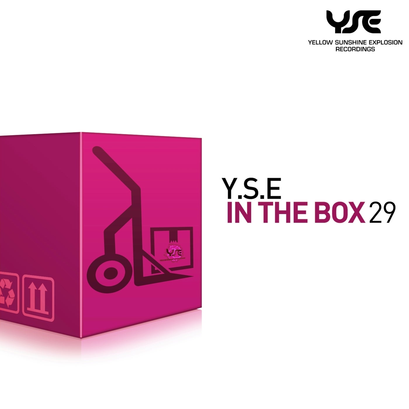 Y.S.E in the Box, Vol. 29