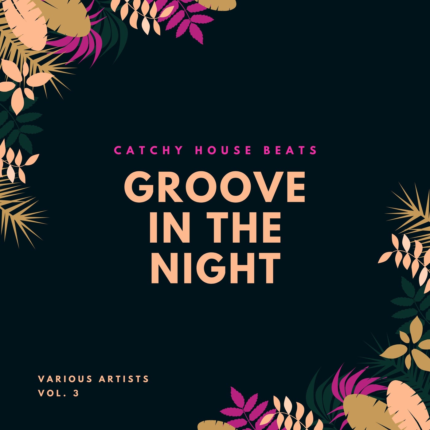 Groove In The Night (Catchy House Beats), Vol. 3