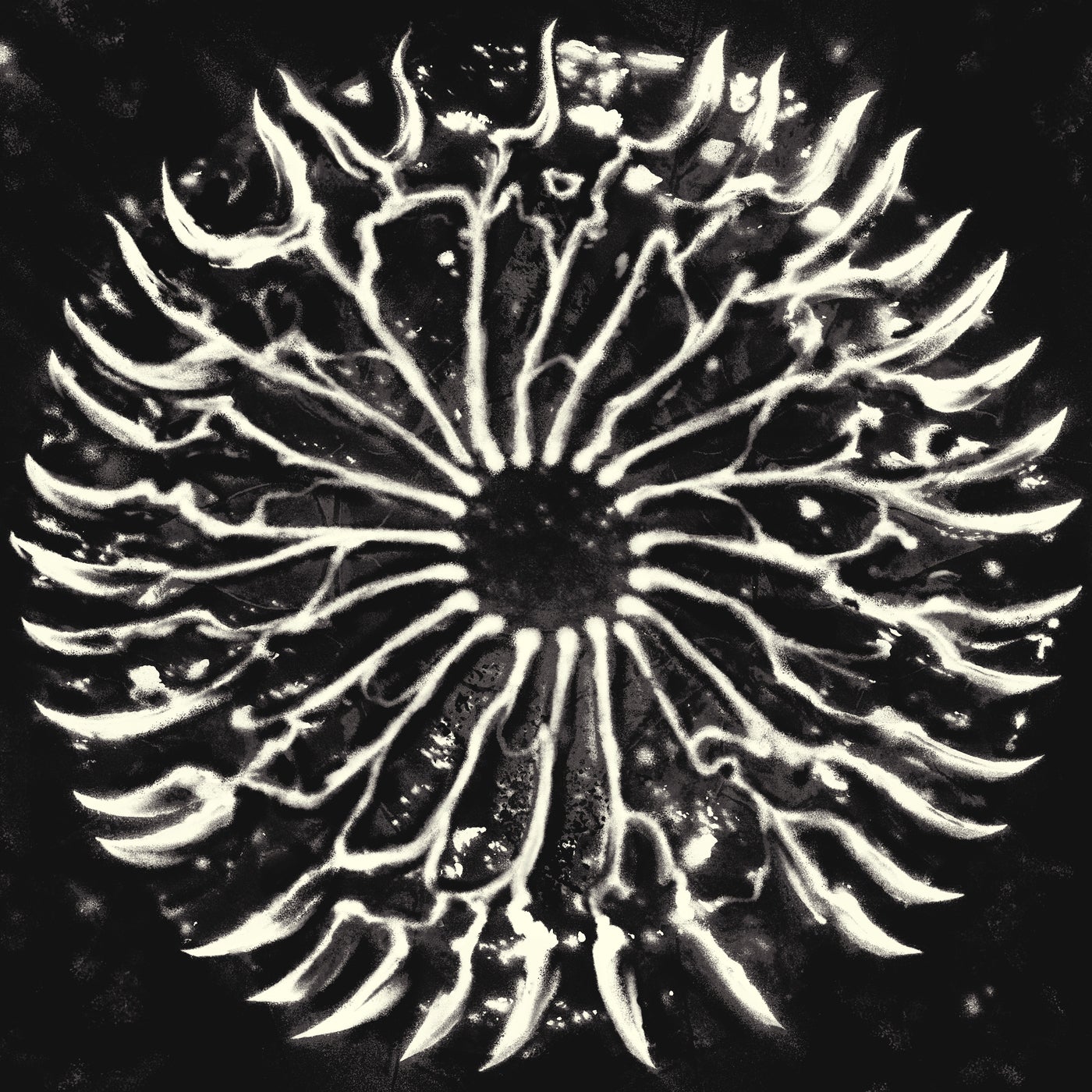 Cover art for APTID