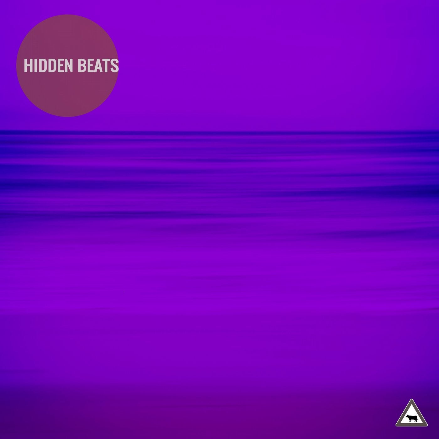 Hidden Beats