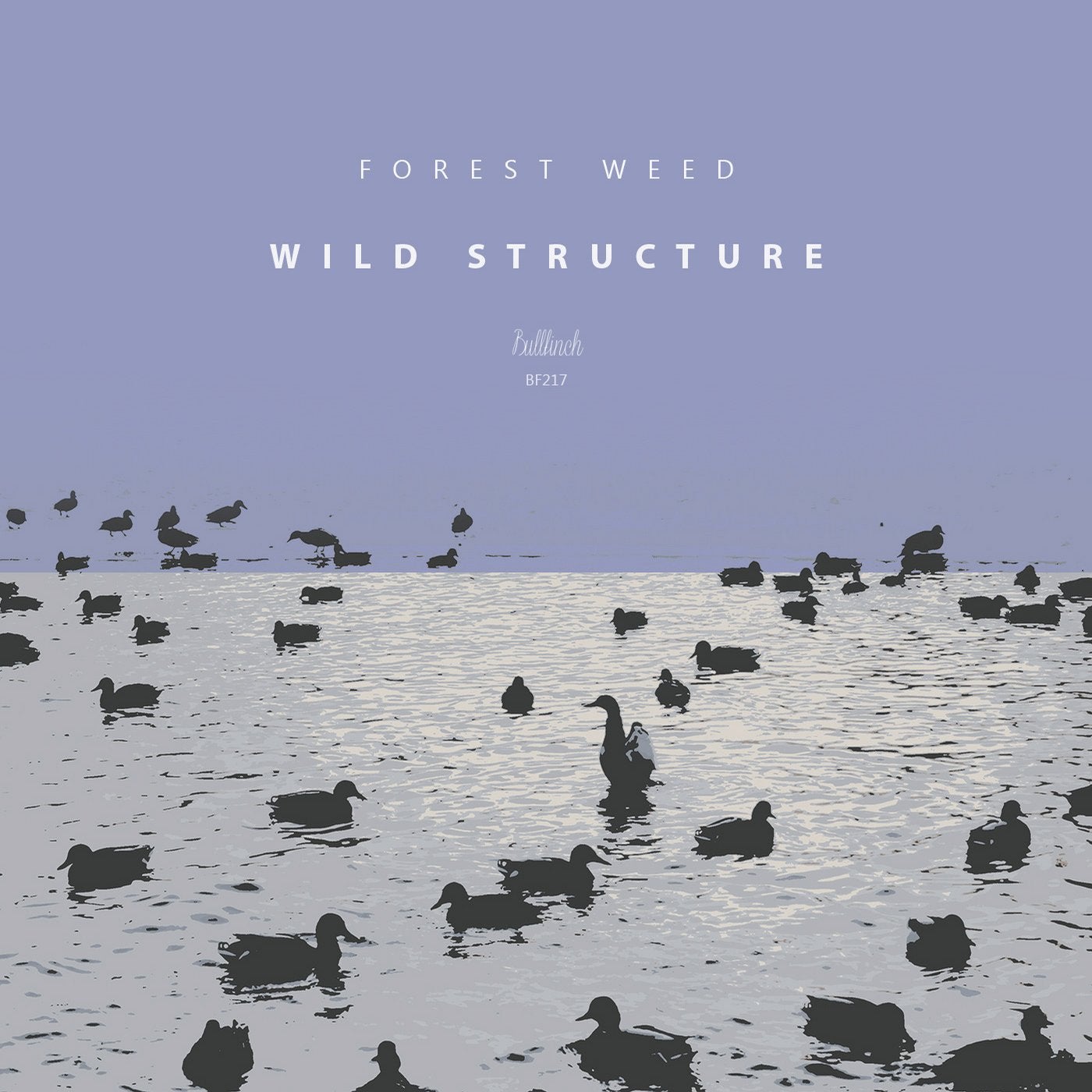 Wild Structure