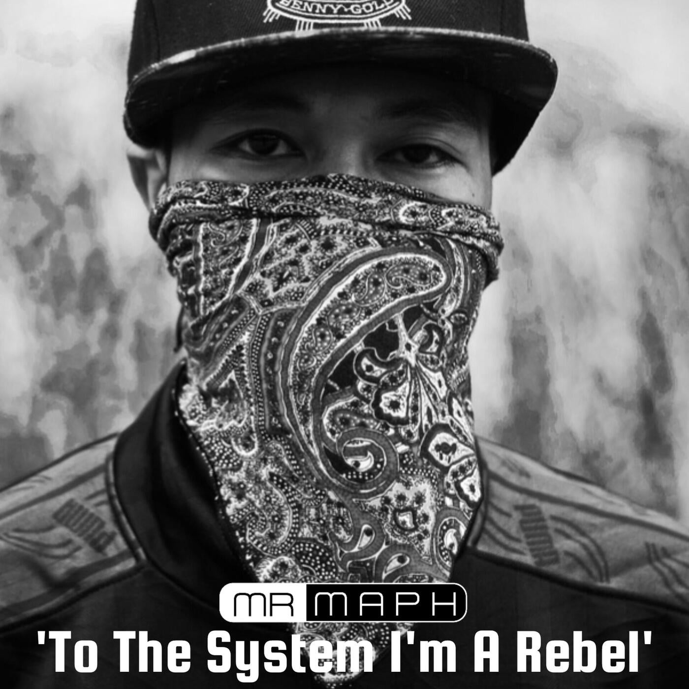 TO THE SYSTEM I'M A REBEL