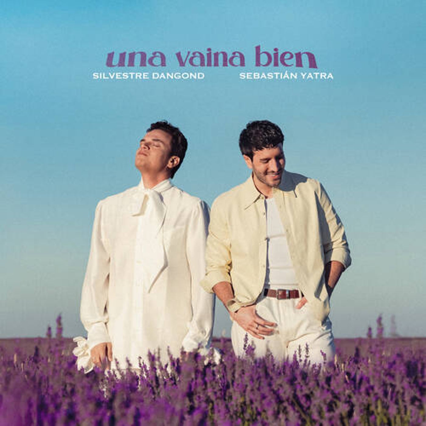 Cover art for Una Vaina Bien