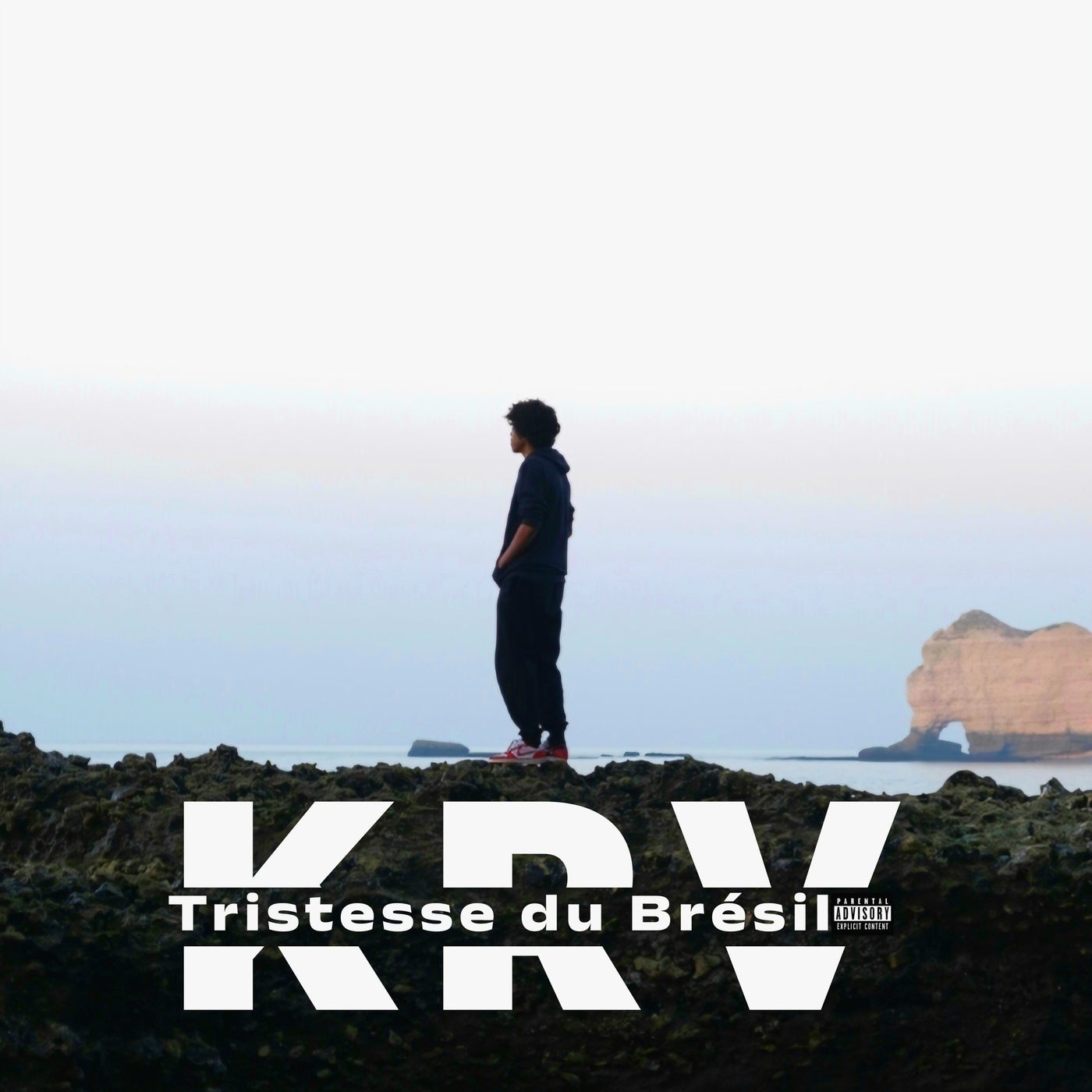 Tristesse du Brésil