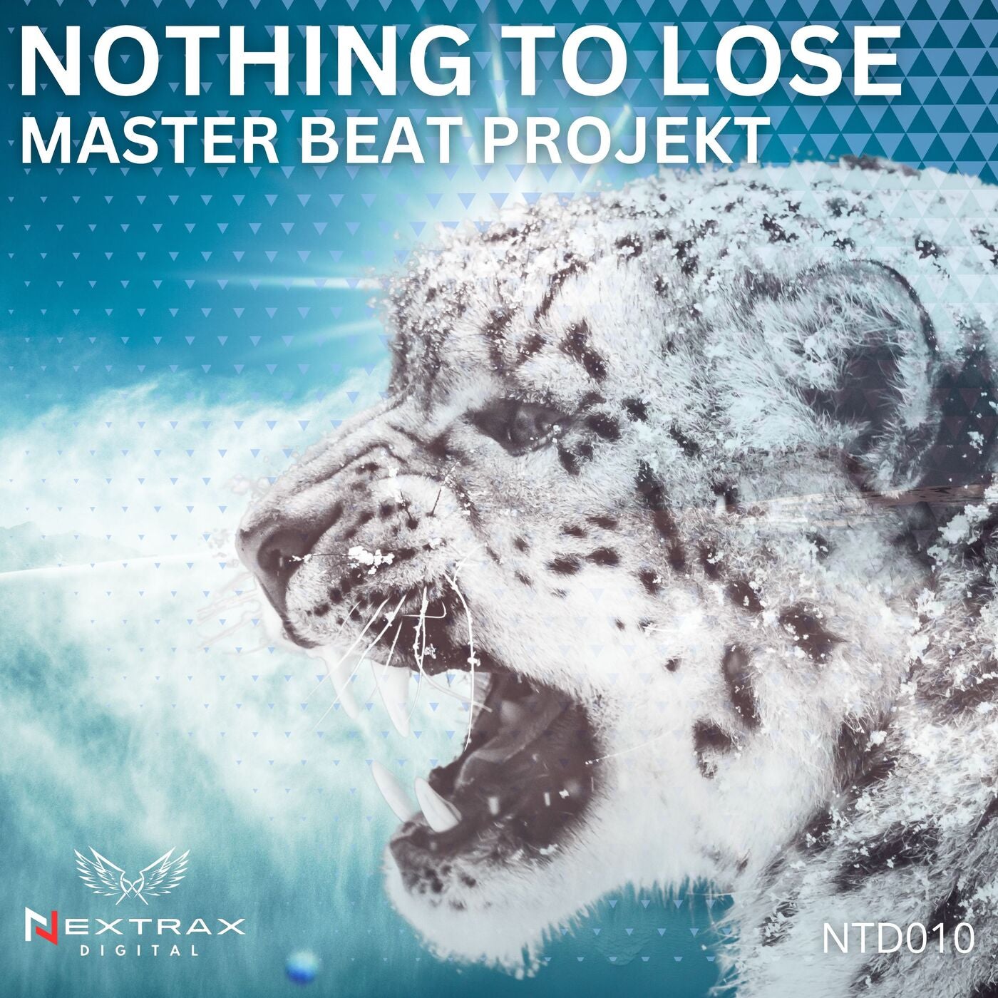 Nothing to Lose