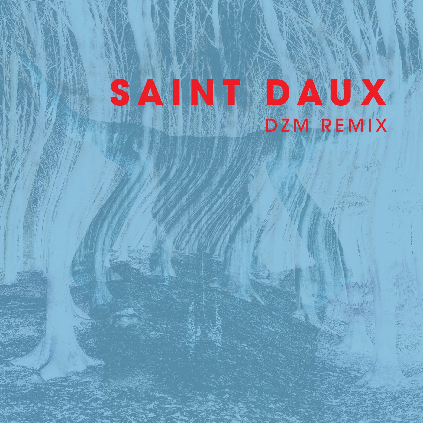 Saint daux (DZM Remix)
