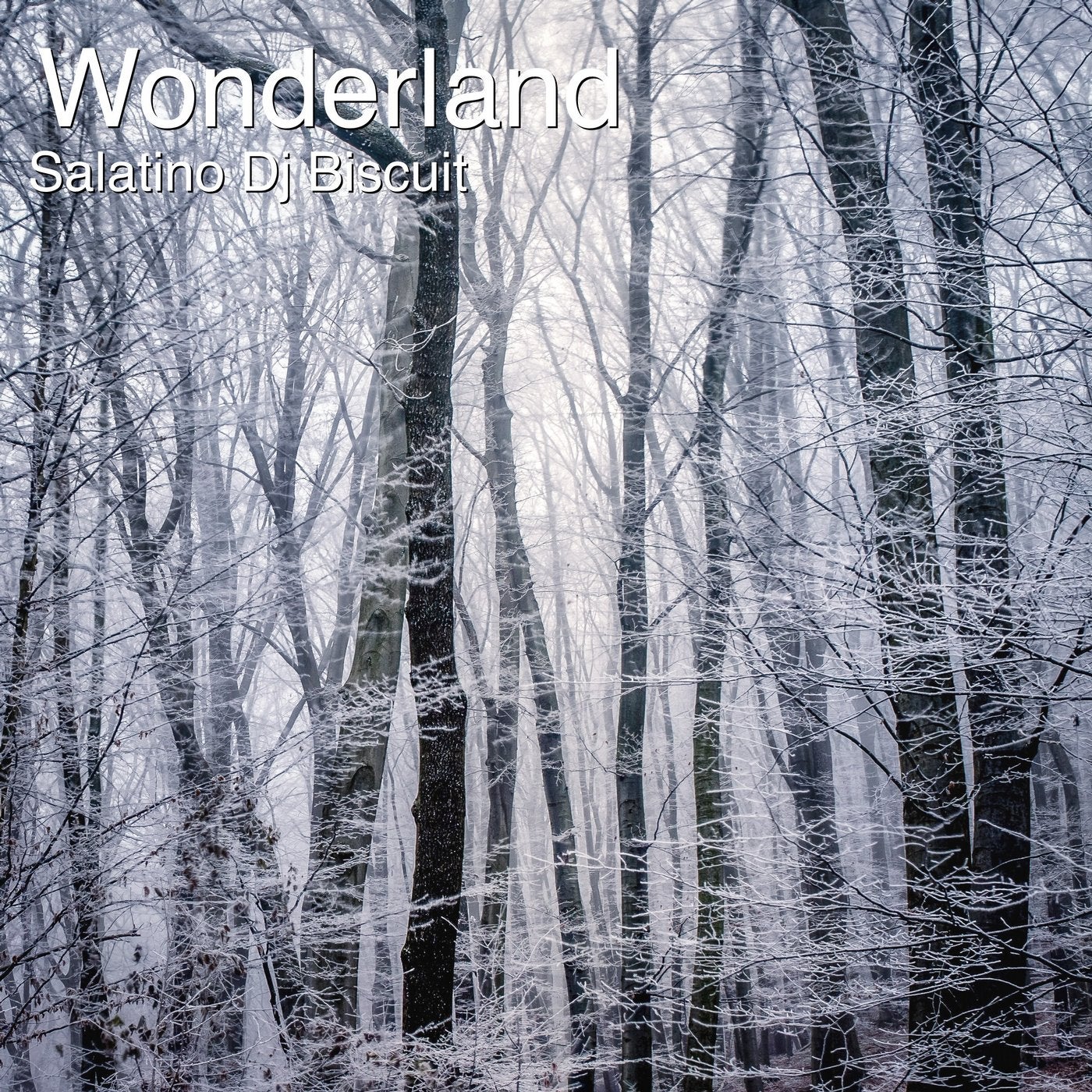 Wonderland