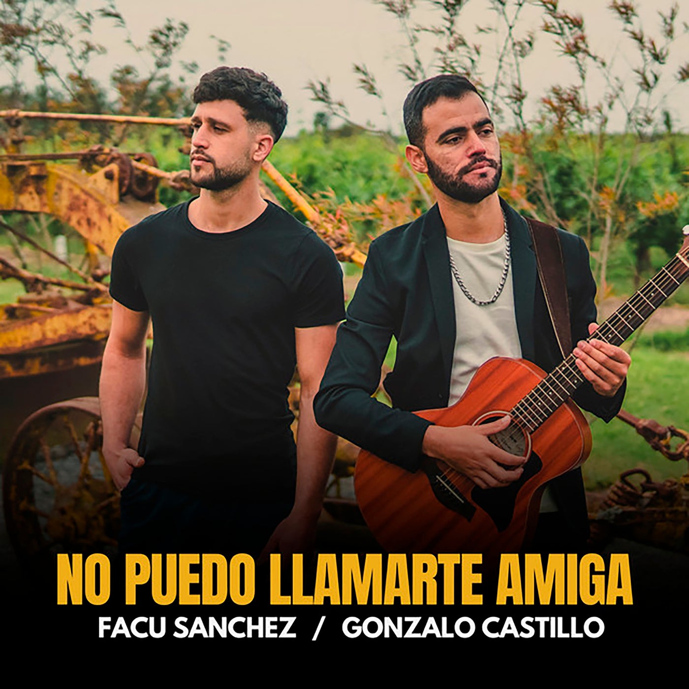 No Puedo Llamarte Amiga