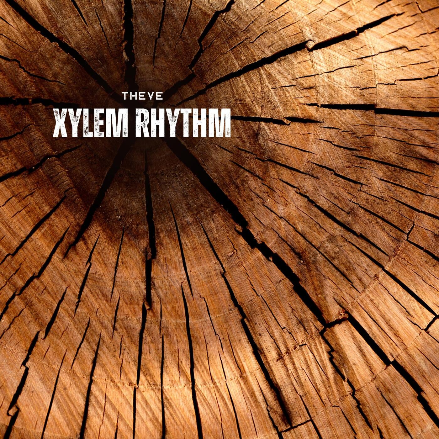 Xylem Rhythm