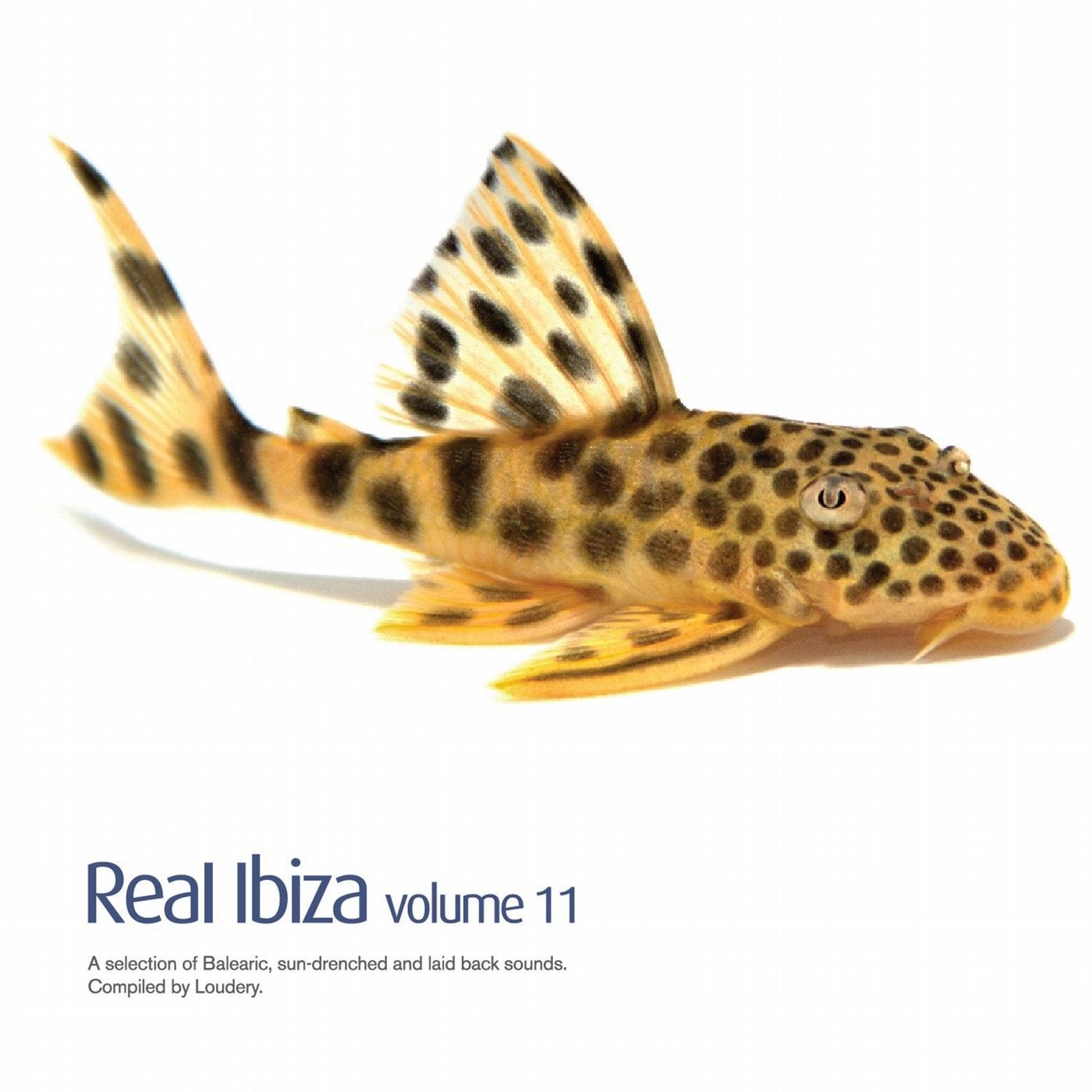 Real Ibiza Vol 11