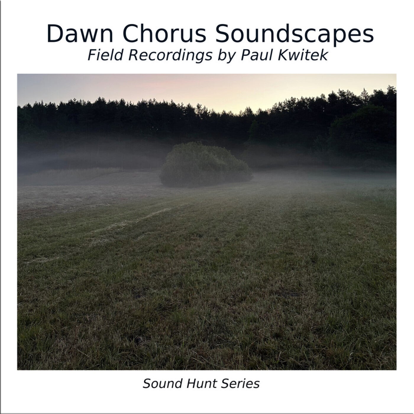 Dawn Chorus Soundscapes