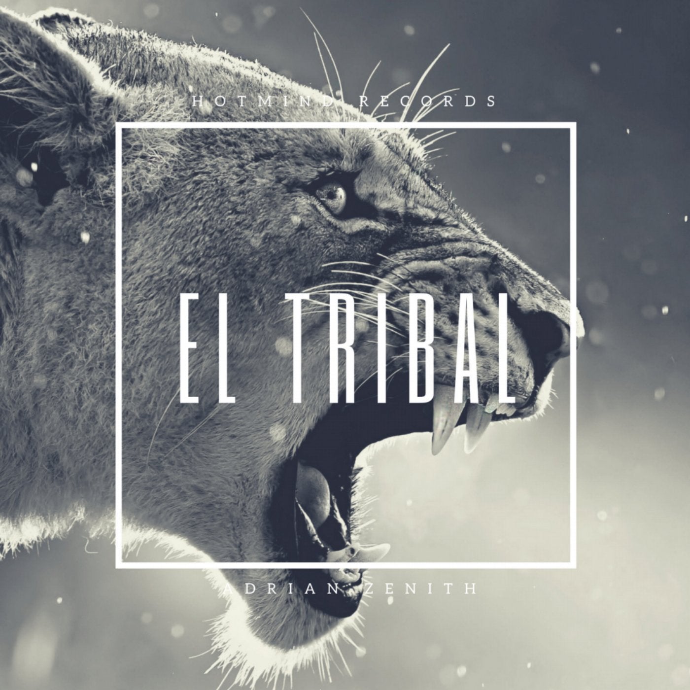 El Tribal