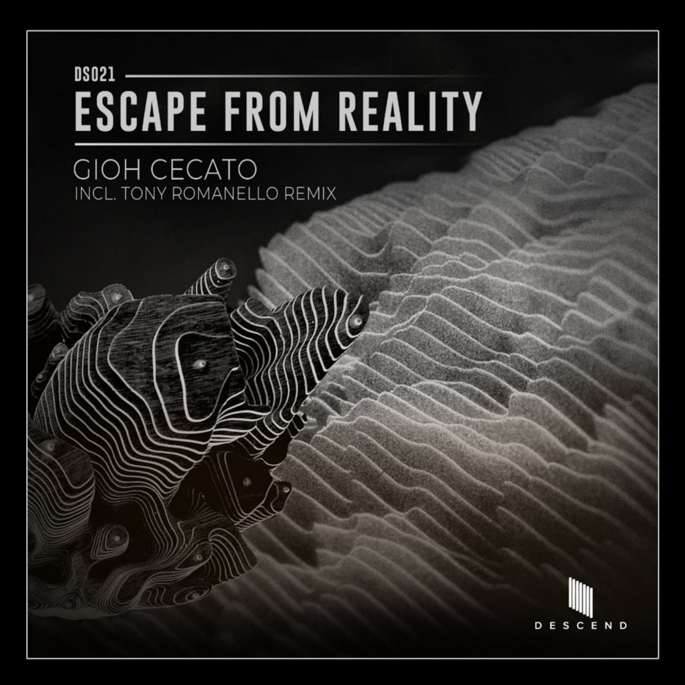 Escape From Reality