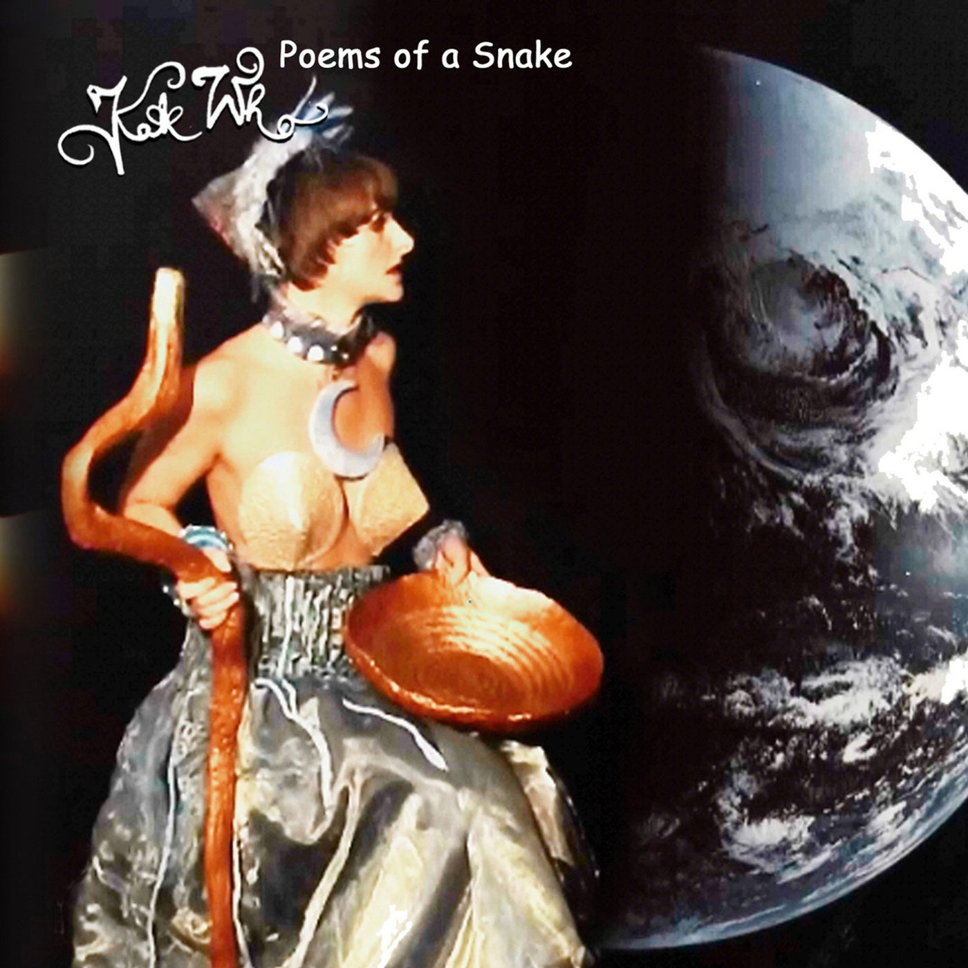 Poems Of A Snake