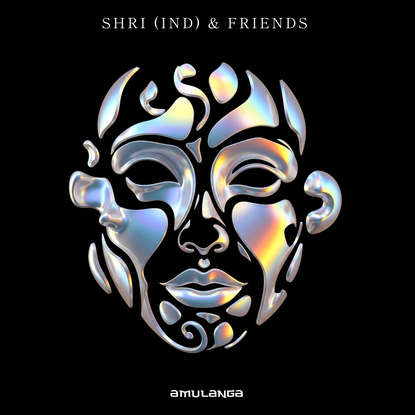 Shri & Friends