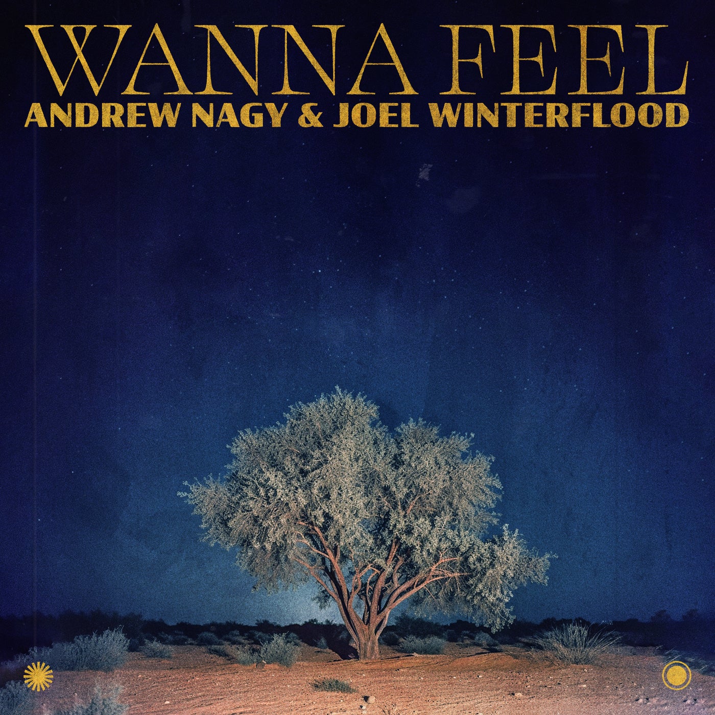 Wanna Feel (Extended Mix)