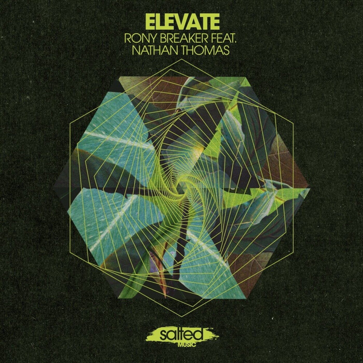 Cover art for Elevate