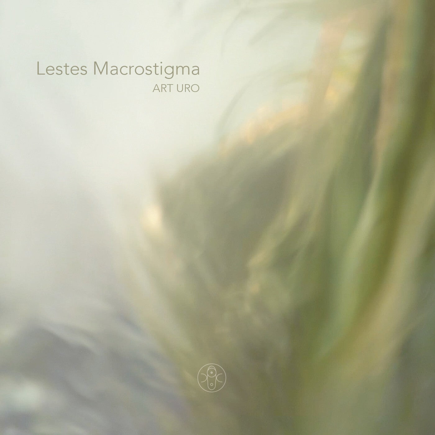 Lestes Macrostigma EP