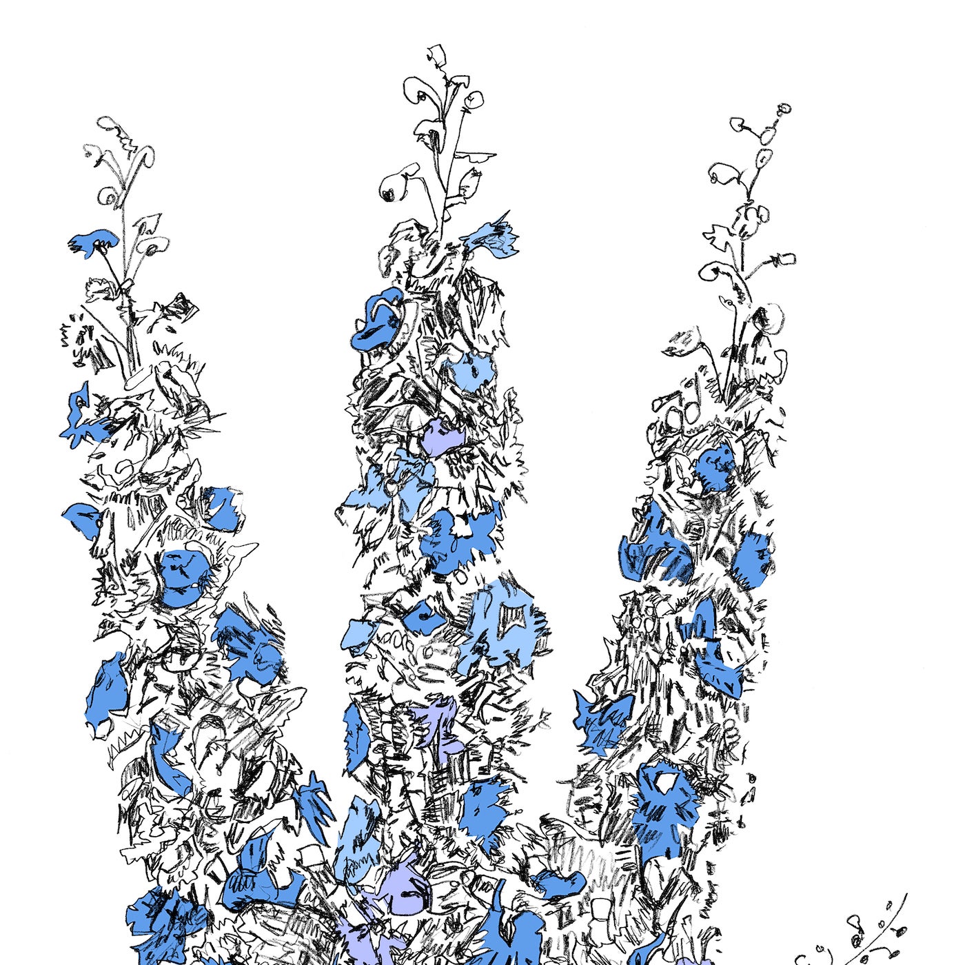 Music to Watch Seeds Grow By 002: Davis Galvin - Prism (Delphinium Elatum)