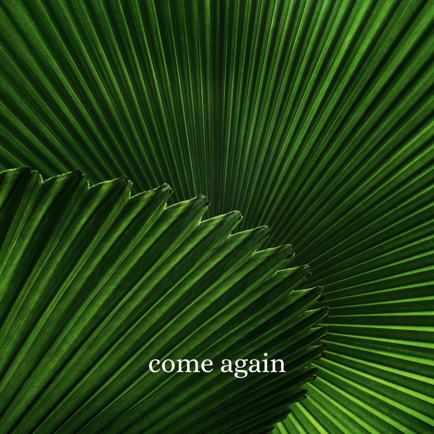 Come Again (Radio Edit)