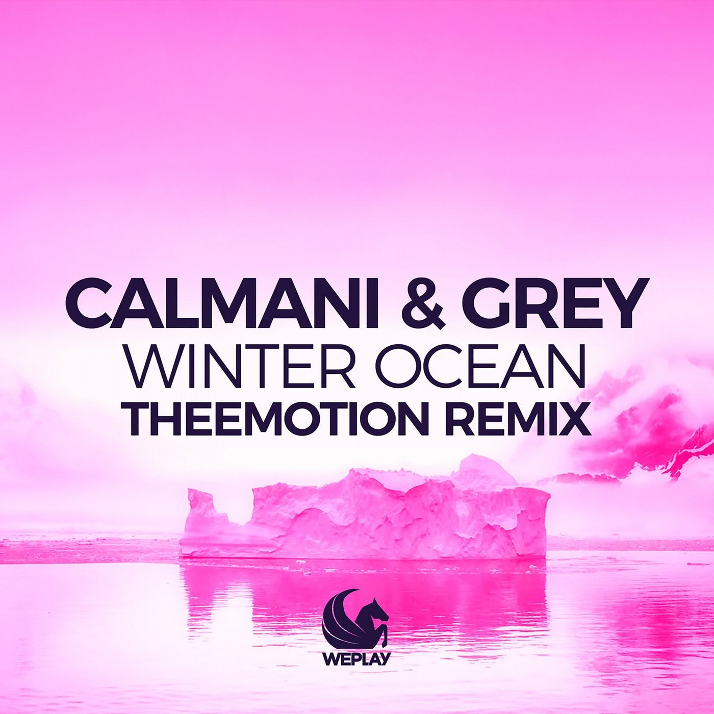 Winter Ocean (Theemotion Remix)