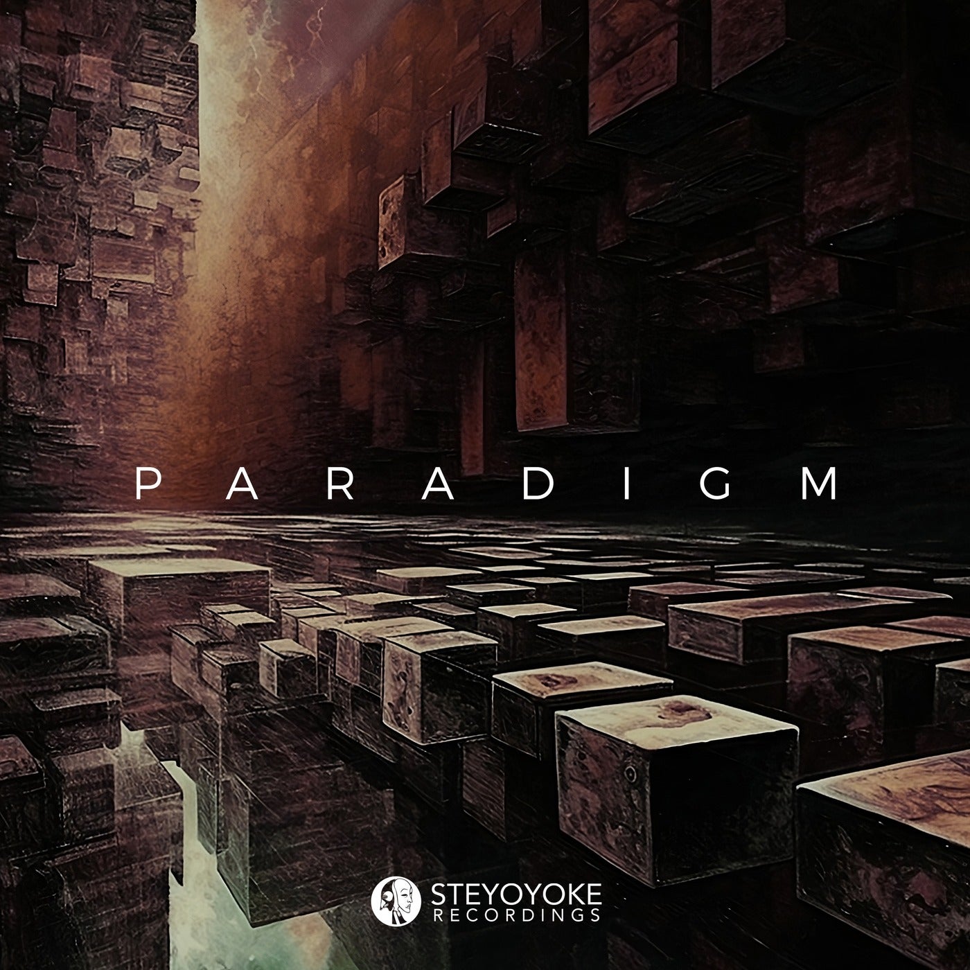 VA – Steyoyoke Paradigm, Vol. 10 SYYKPARA010 VA – Steyoyoke Paradigm, Vol. 10 SYYKPARA010