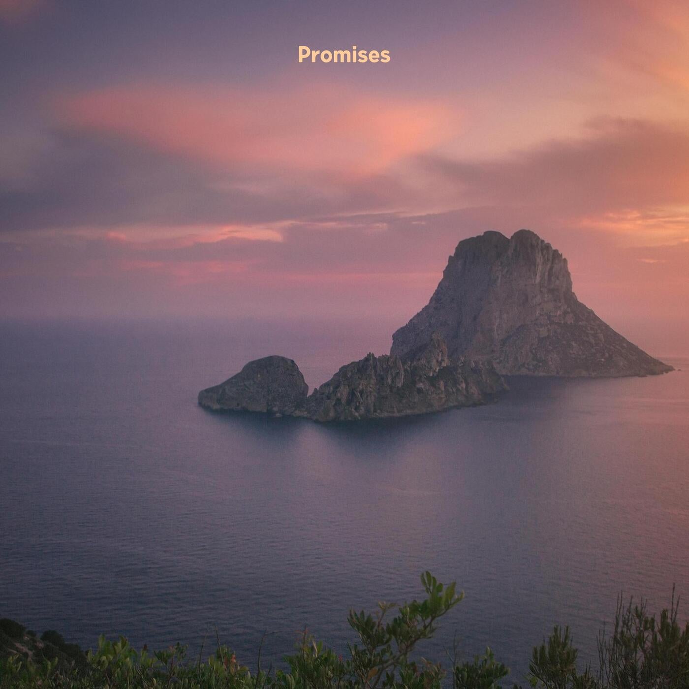 Promises (Extended mix)