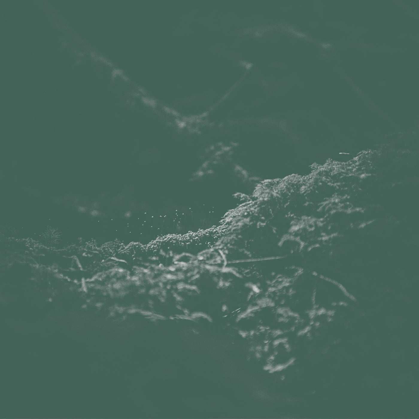 Cover art for Sacred Offering