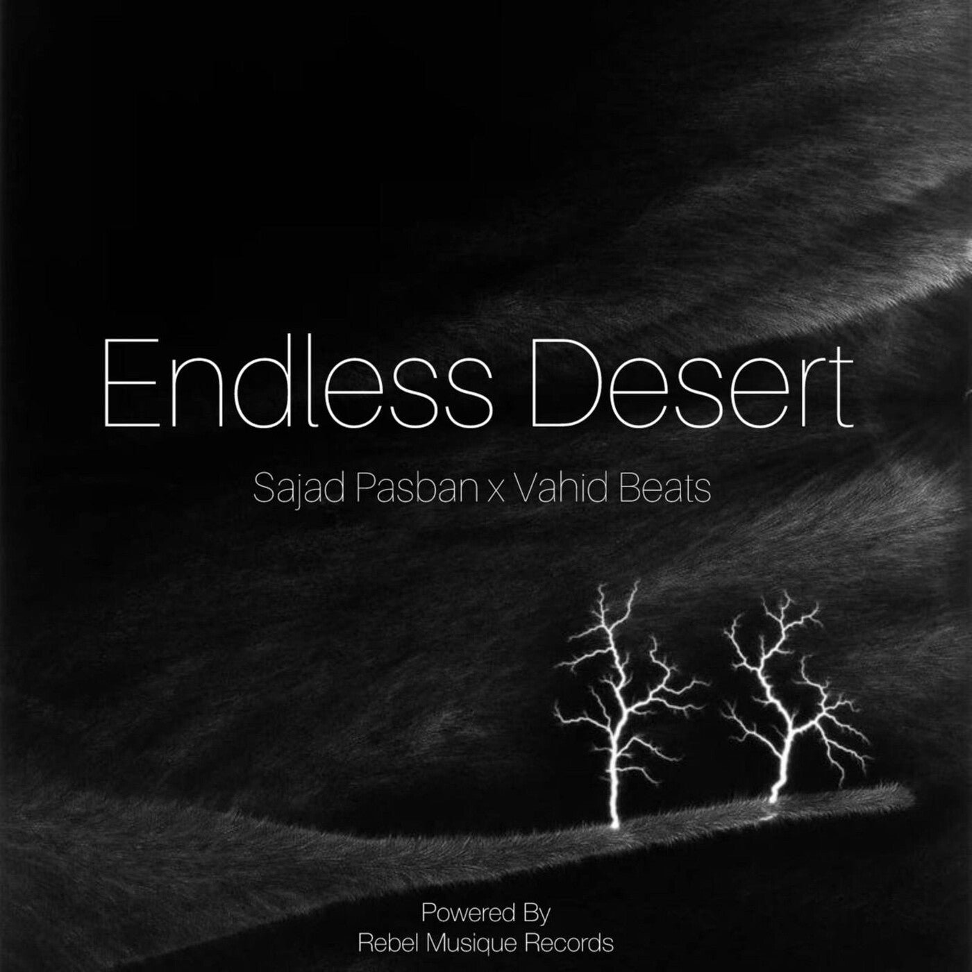 Endless Desert