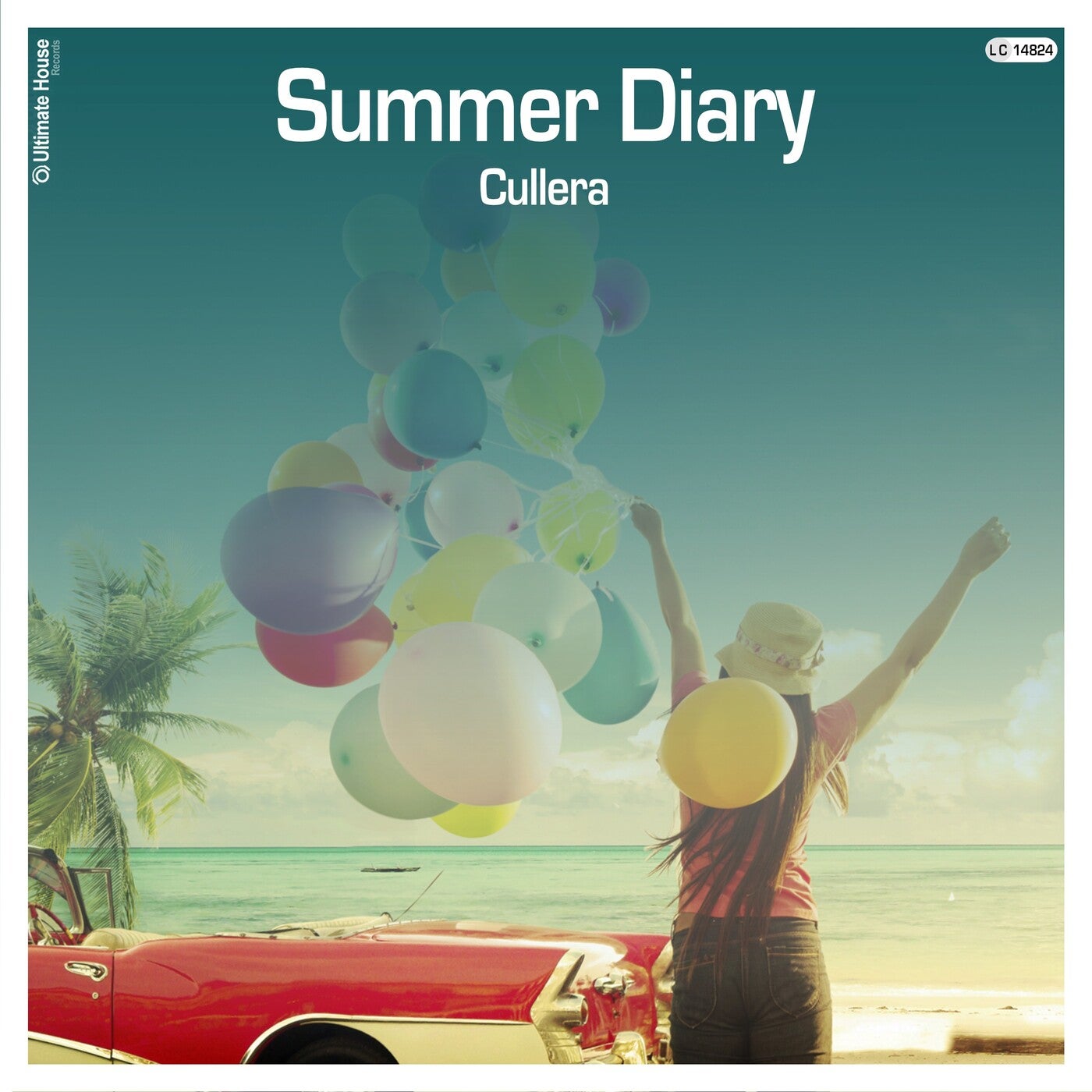 Summer Diary