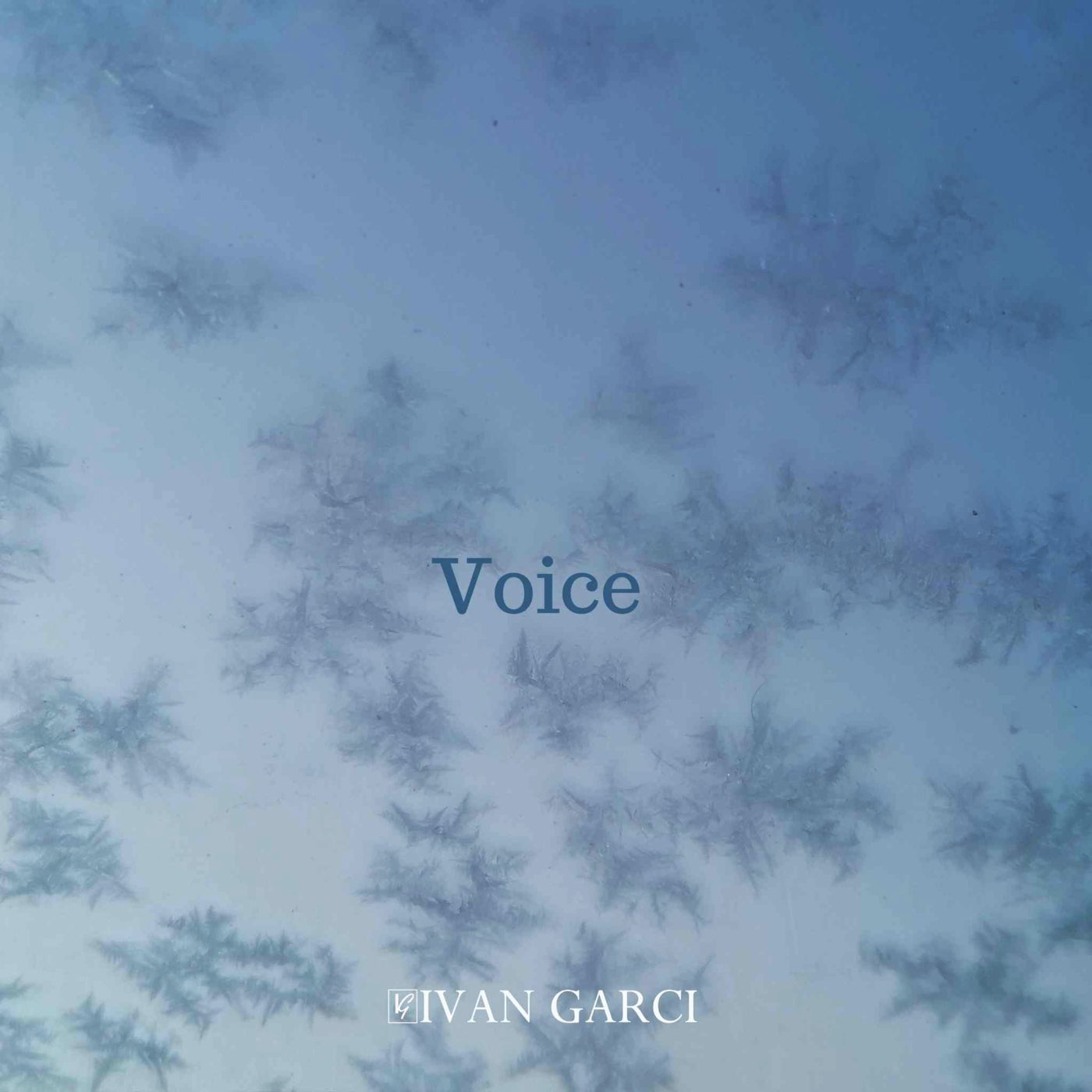 Voice