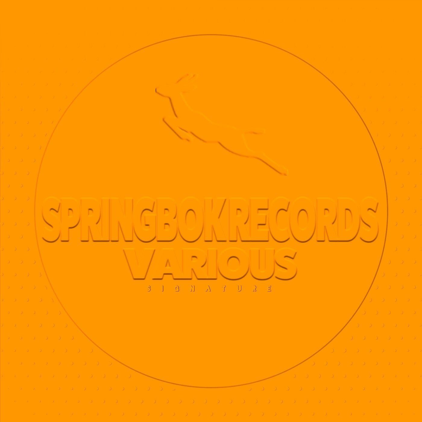 Spirngbok Records Various Signature