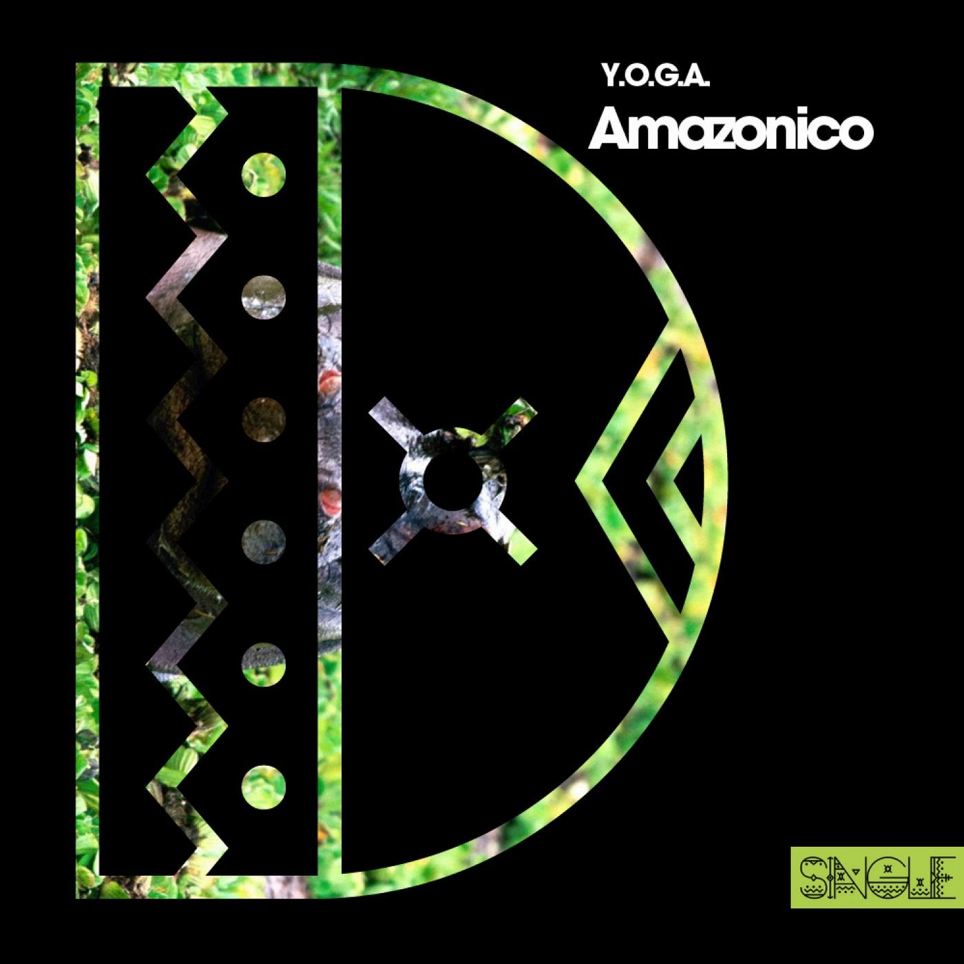 Amazonico