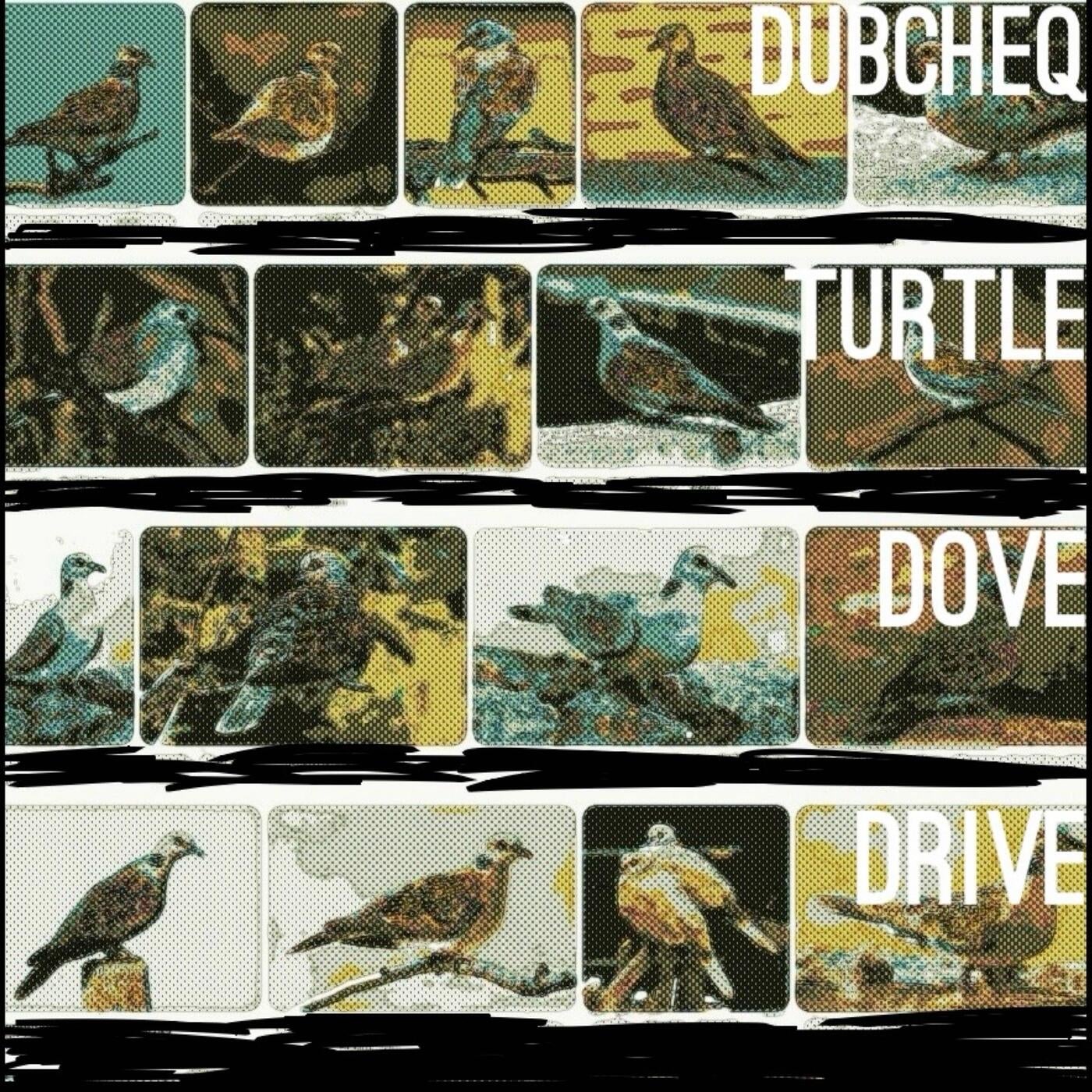 Turtle Dove Drive