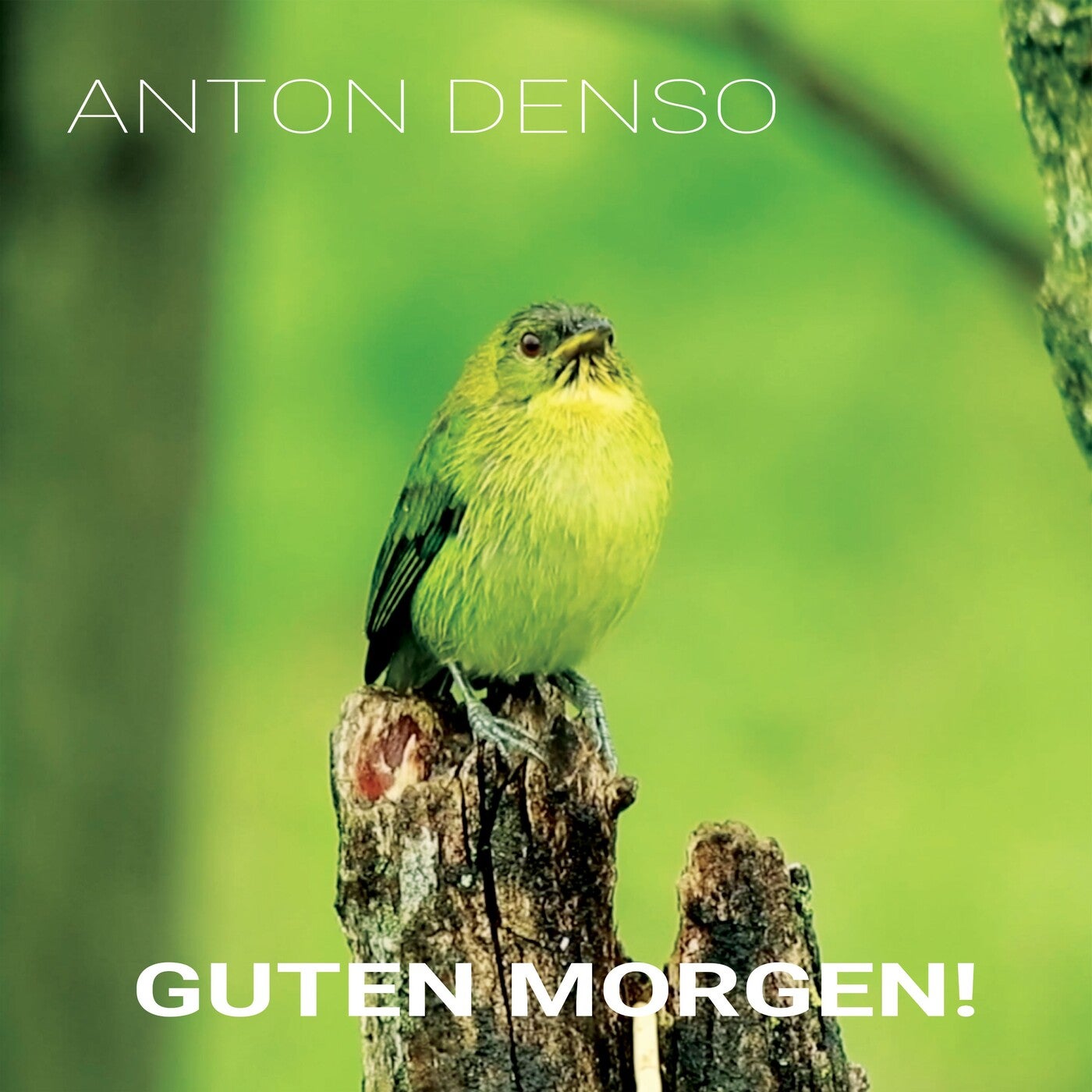 Guten Morgen!