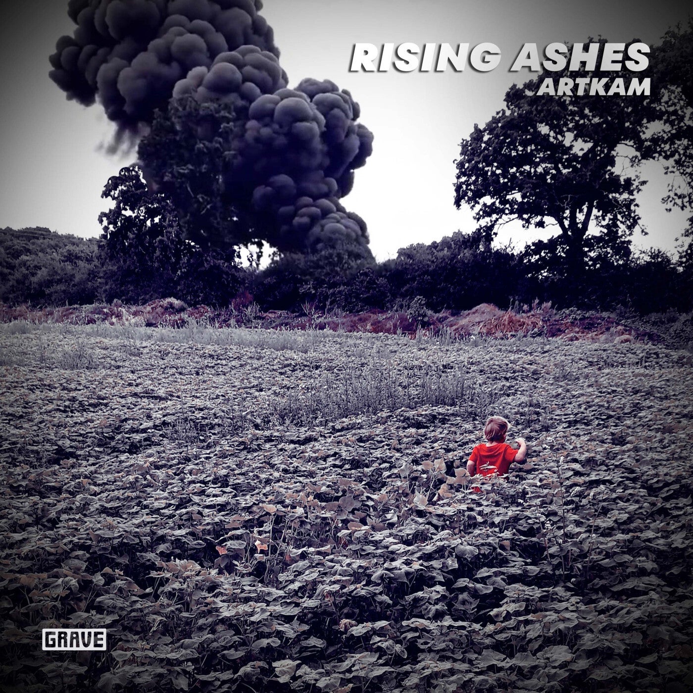 Rising Ashes