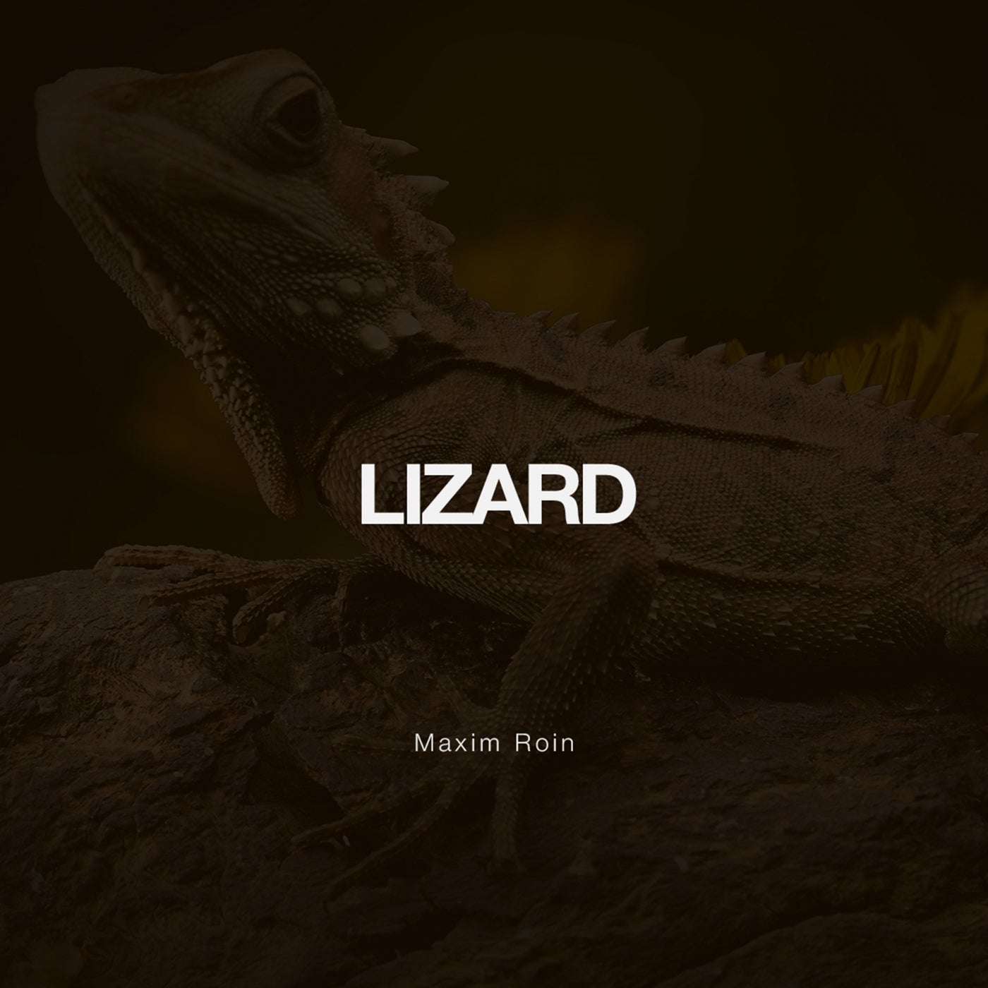 Lizard