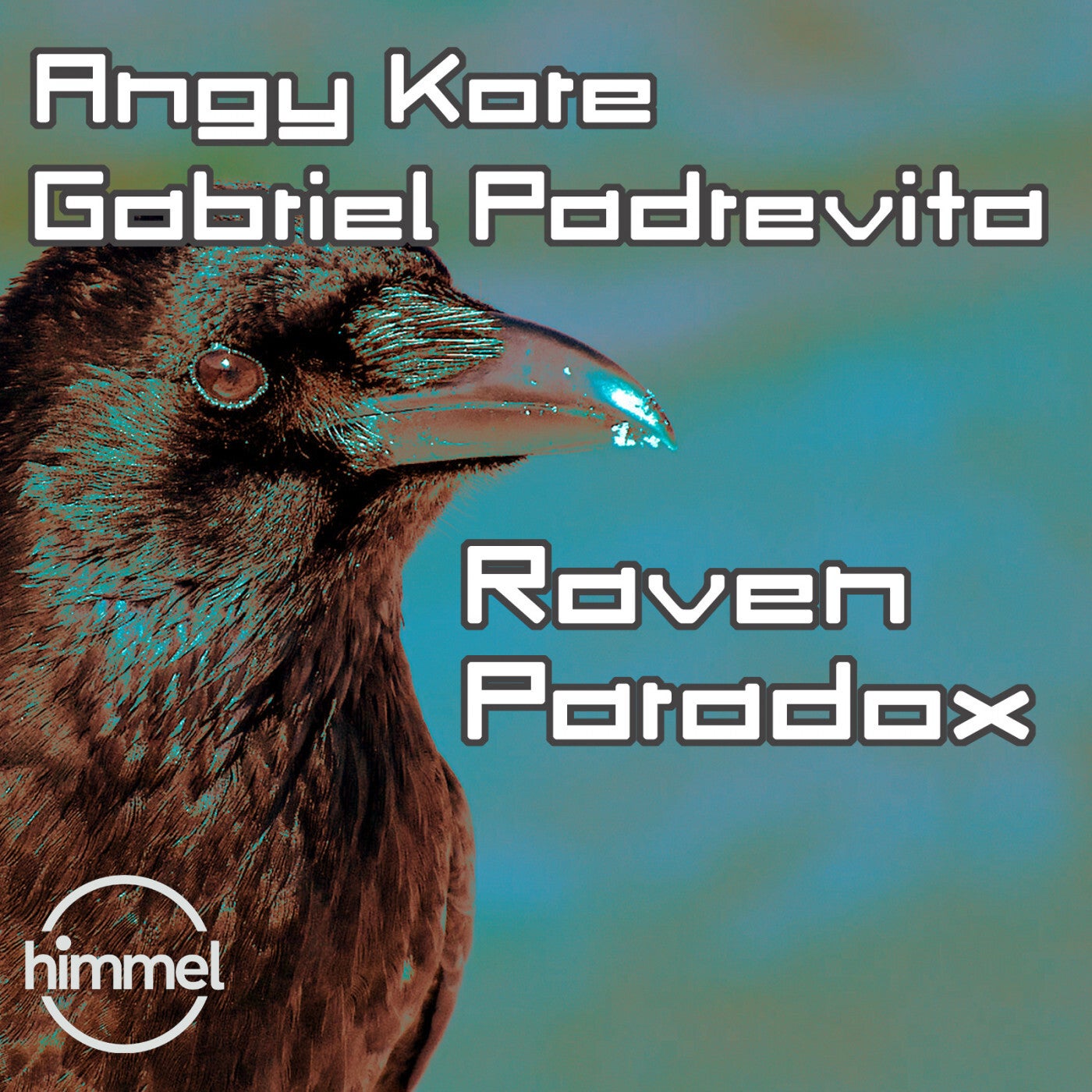 Raven Paradox