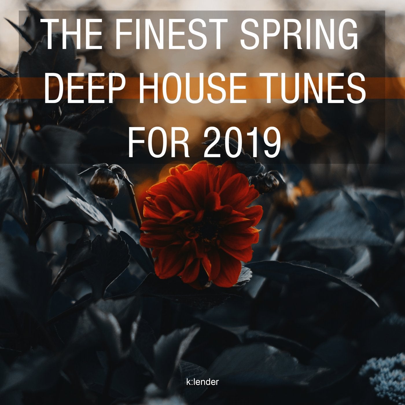 The Finest Deep House Tunes for 2019