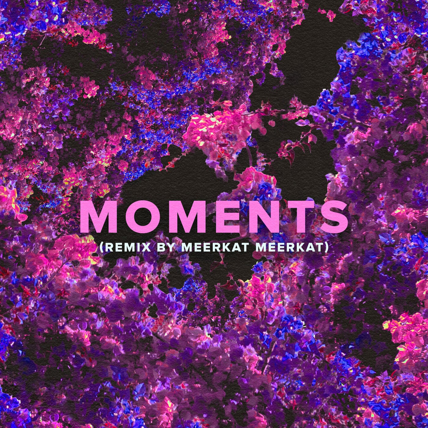 Moments (Meerkat Meerkat Remix)